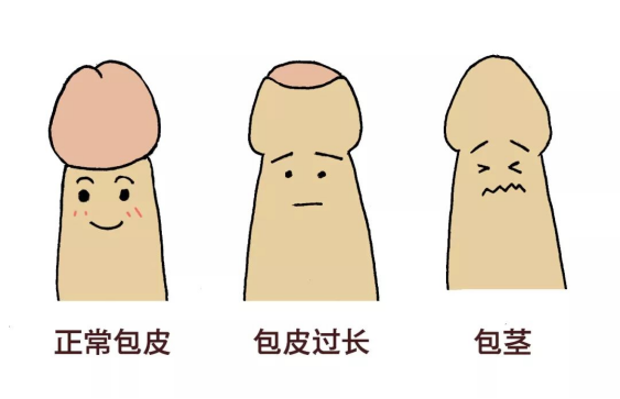 图片1(28).png